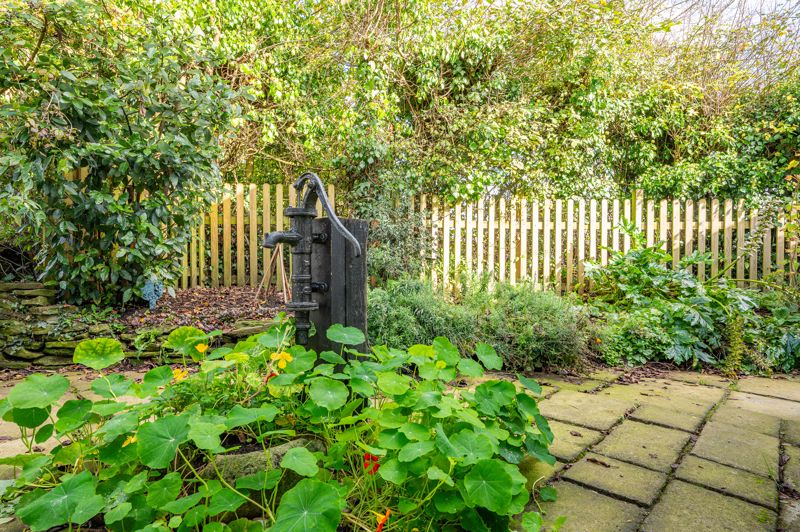 Garden- click for photo gallery